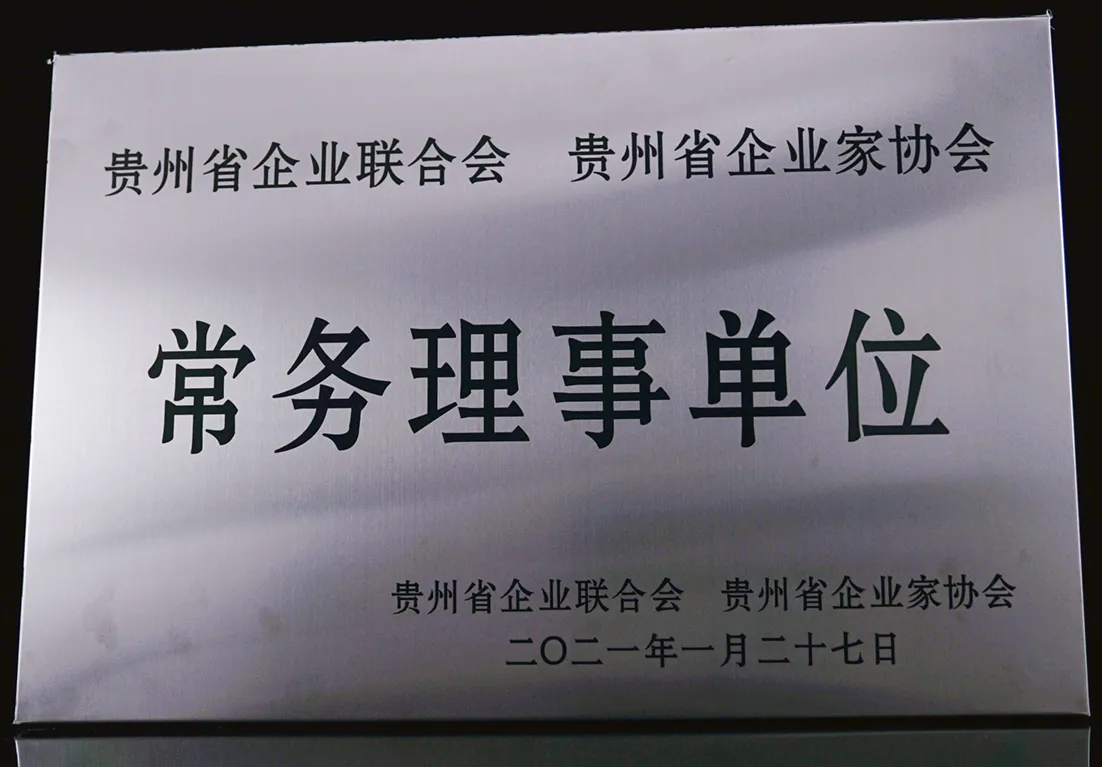 2021年贵州省企联常务理事单位